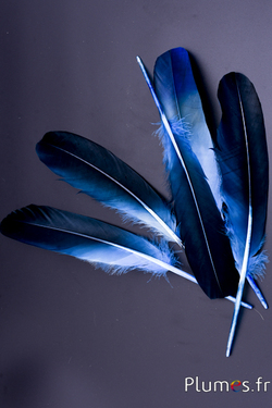 Cygne Soie - 25-30 cm - bleu ciel-bleu nuit